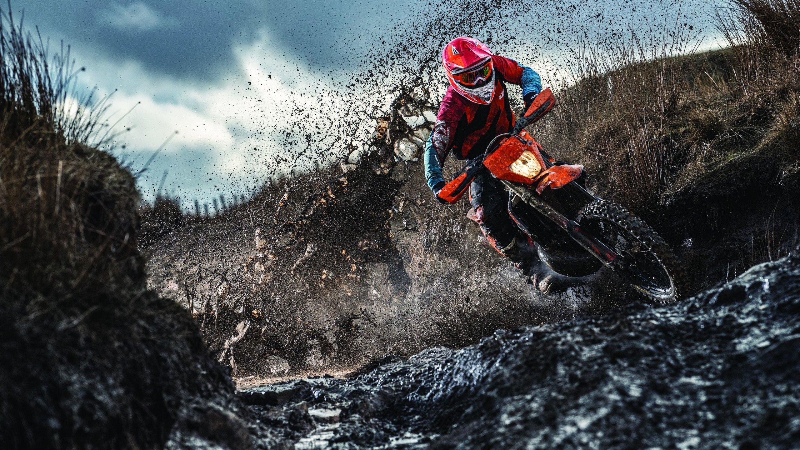 体育焦点人物专栏故事上线,体育人物深度报道